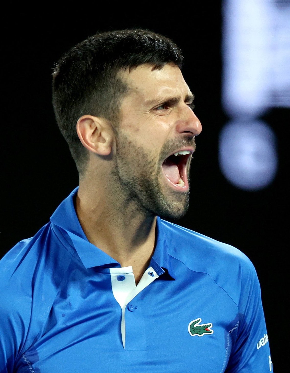 意大利网球队逆转澳大利亚网球队，德约科维奇关键制胜的简单介绍