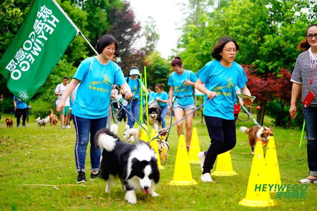 顶级赛事中出现重大变故，赛果扑朔迷离的简单介绍